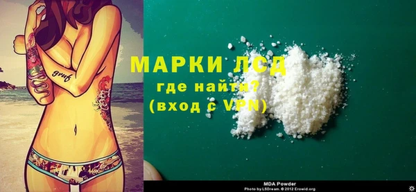 ешки Аркадак