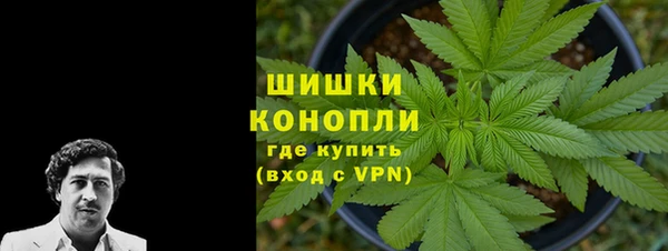 ешки Аркадак