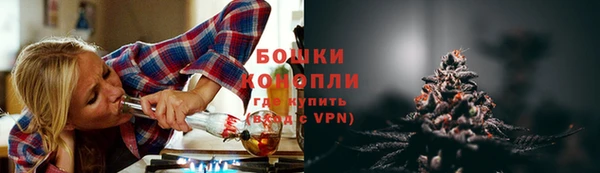 ешки Аркадак