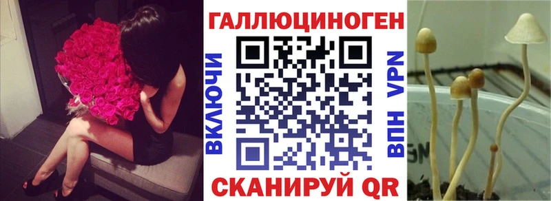 даркнет клад Арсеньев Псилоцибиновые грибы GOLDEN TEACHER