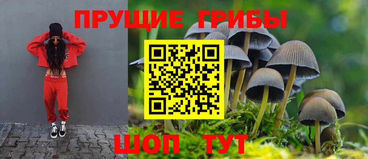 Псилоцибиновые грибы мицелий  Вход с VPN  Арсеньев 